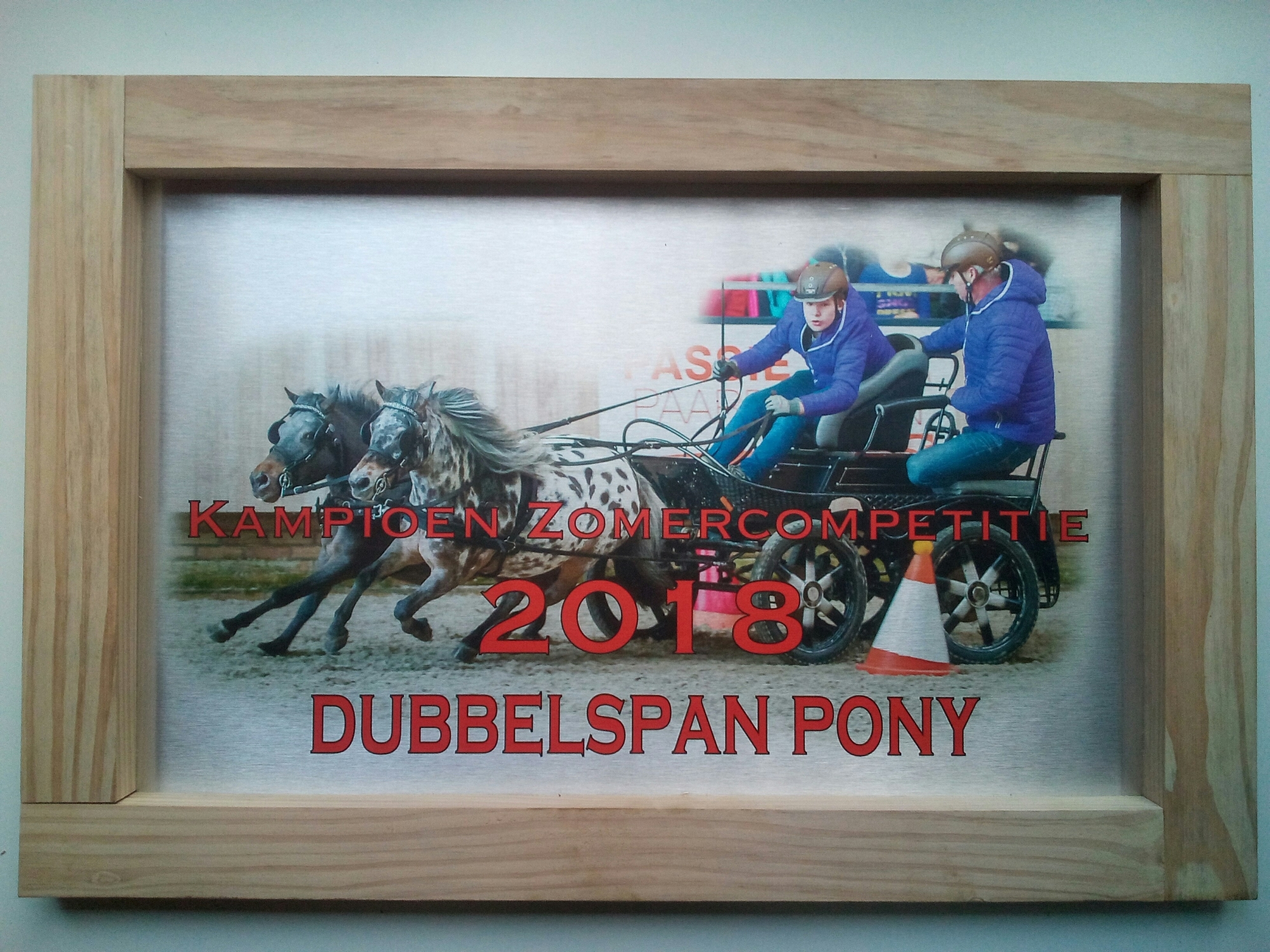 Sportprijs aluminium/hout