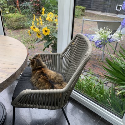 De kat is ook heel blij