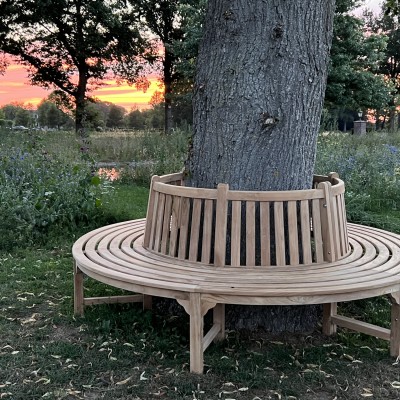 Prachtig bankje rondom onze mooie, oude lindeboom met uitzicht op de zonsondergang gereflecteerd in de vijver.