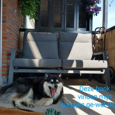 Blijdatmijnbaasjeslekkerbijmijkunnenzittennu