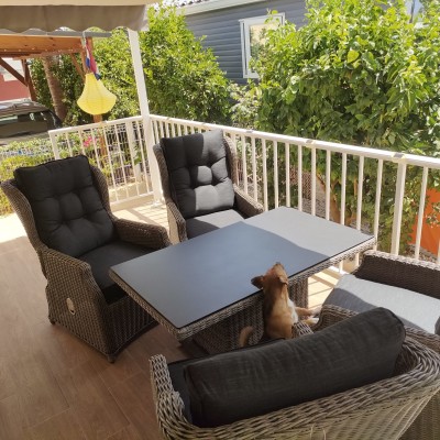Staan prachtig op ons terras en zitten zalig. Wat zullen we genieten...