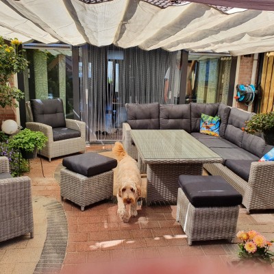 Diningset San Marino met 2 lounge stoelen