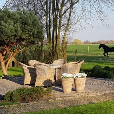 Prachtige nieuwe stoelen voor ons gepimpte terras!
