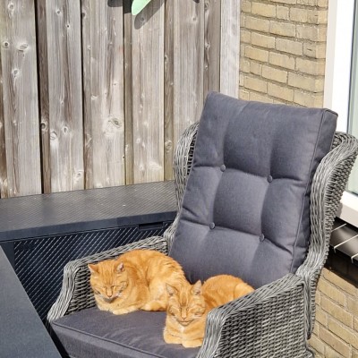 Heerlijk chillen met zijn tweeën want deze stoel zit ook wel heel lekker