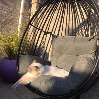 Jaxx favoriete stoel