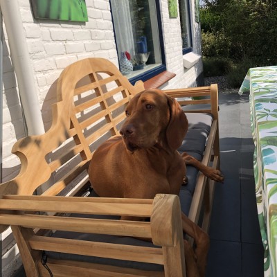 De bank kleurt fantastisch bij onze hond Broes!