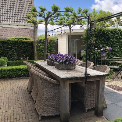 Deze stoelen zijn alleen om naar te kijken al zo mooi
