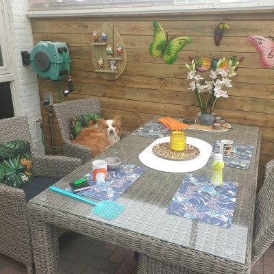 Zelfs Chicka geniet van de nieuwe tuinset