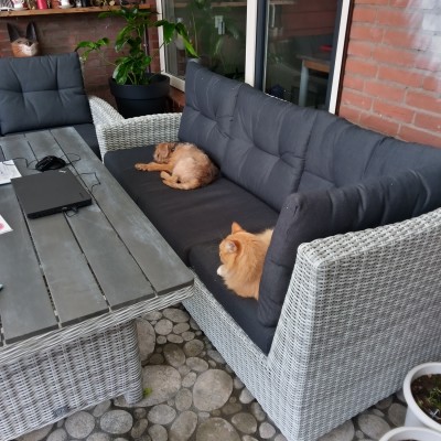 Gelijk uit proberen de nieuwe tuin meubels.