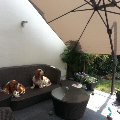 Ferdinand en Mathilda genieten onder hun nieuwe parasol