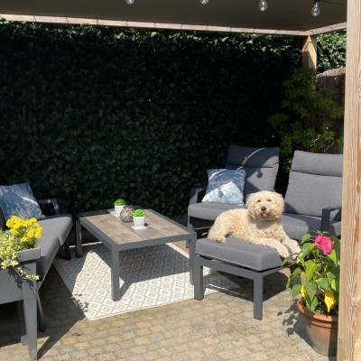 Zelfs onze hond Kyra geniet van het mooie tuinset.