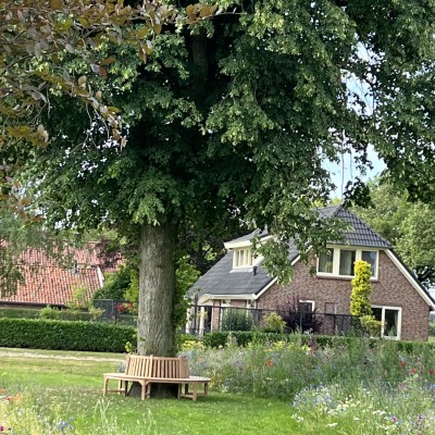 Eindelijk onze boombank, we zijn er blij mee!