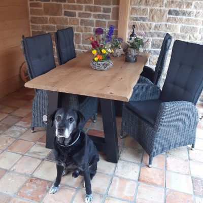 Na maanden zwoegen was onze tuinkamer klaar.