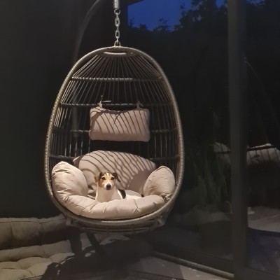 ...en onze hond Max geniet ook maximaal!