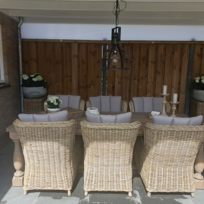 Prachtige Darwin stoelen