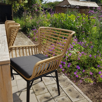 Prachtige Texas dining tuinstoel wicker.