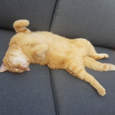 De loungeset is goedgekeurd :)