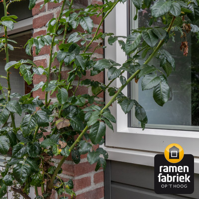 Kozijnen woning IJsselstein