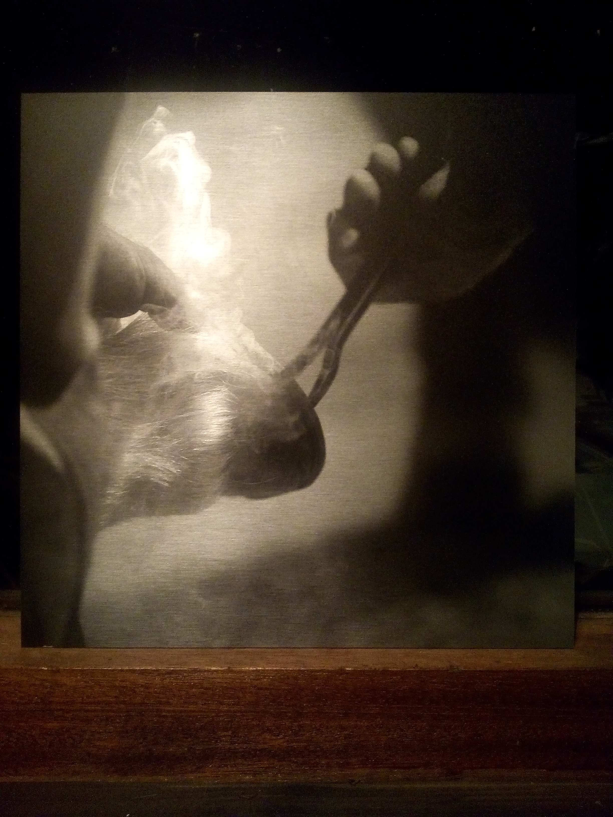 Foto op Aluminium