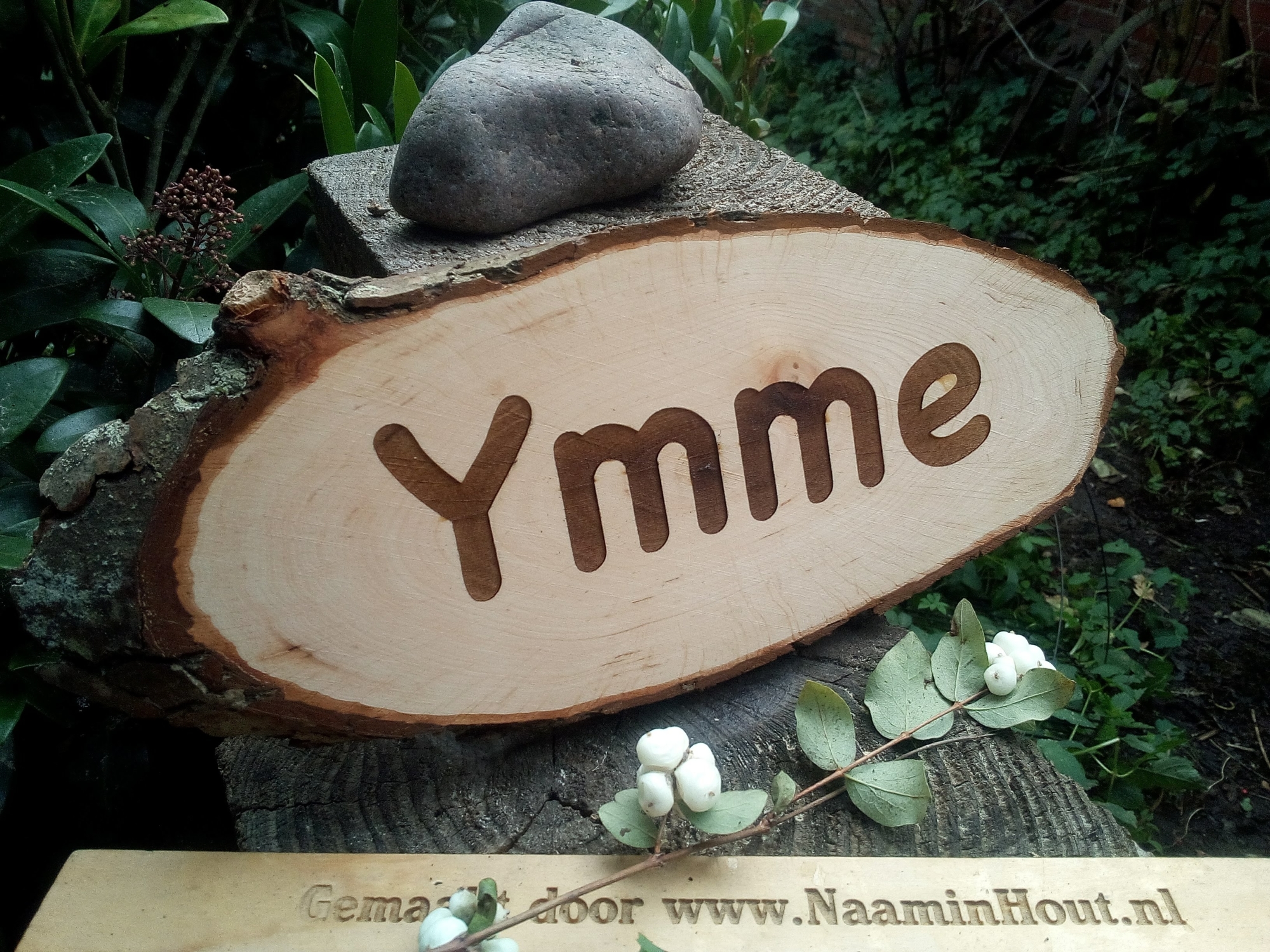 Naambord paard