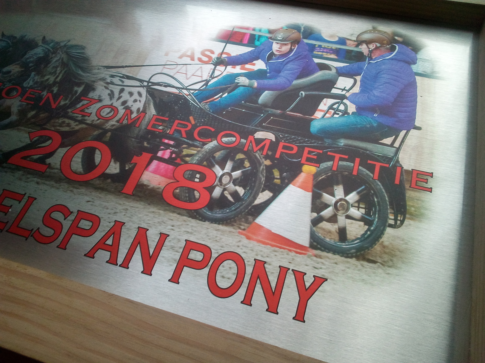 Sportprijs aluminium/hout