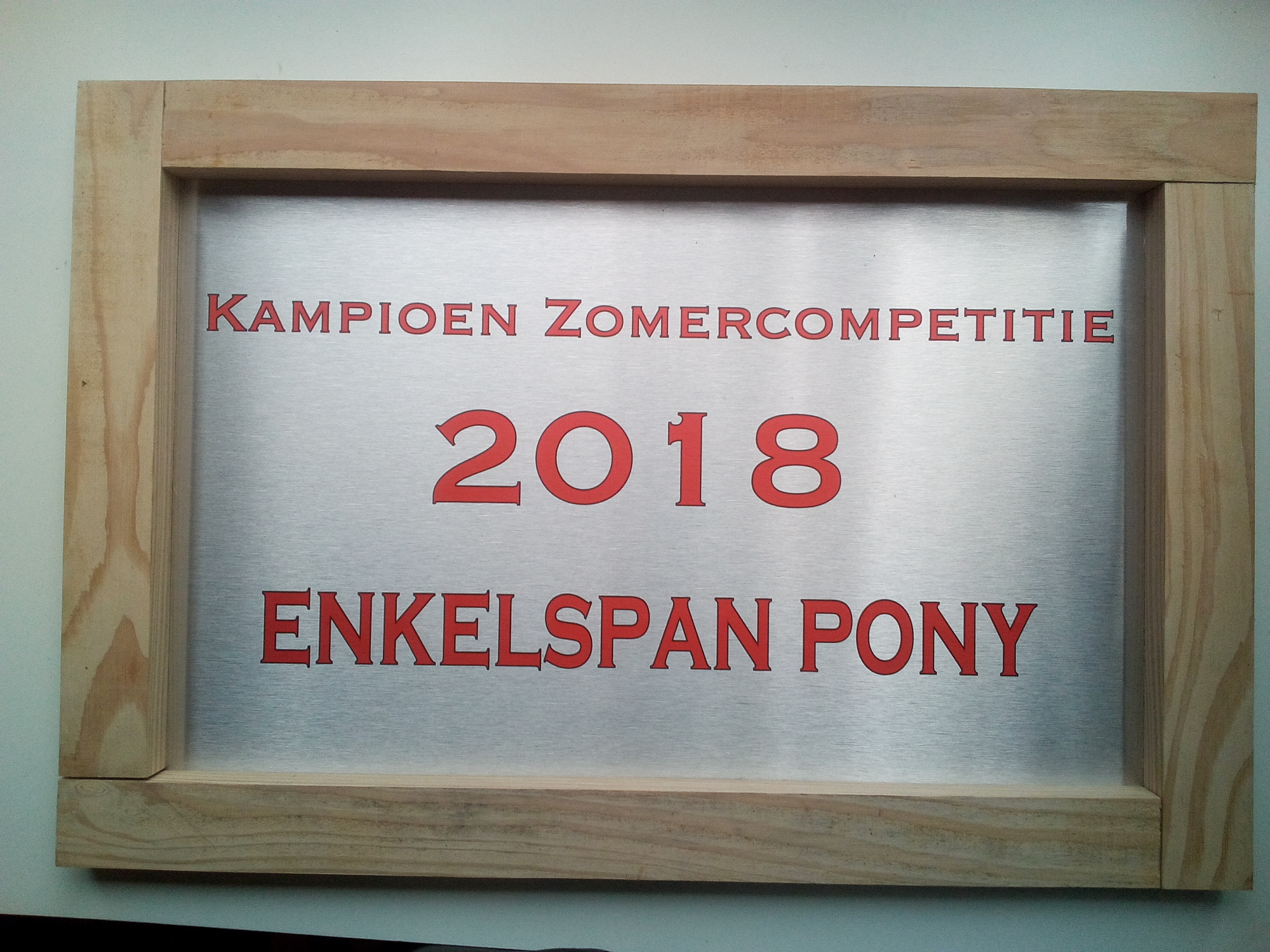 Sportprijs aluminium/hout