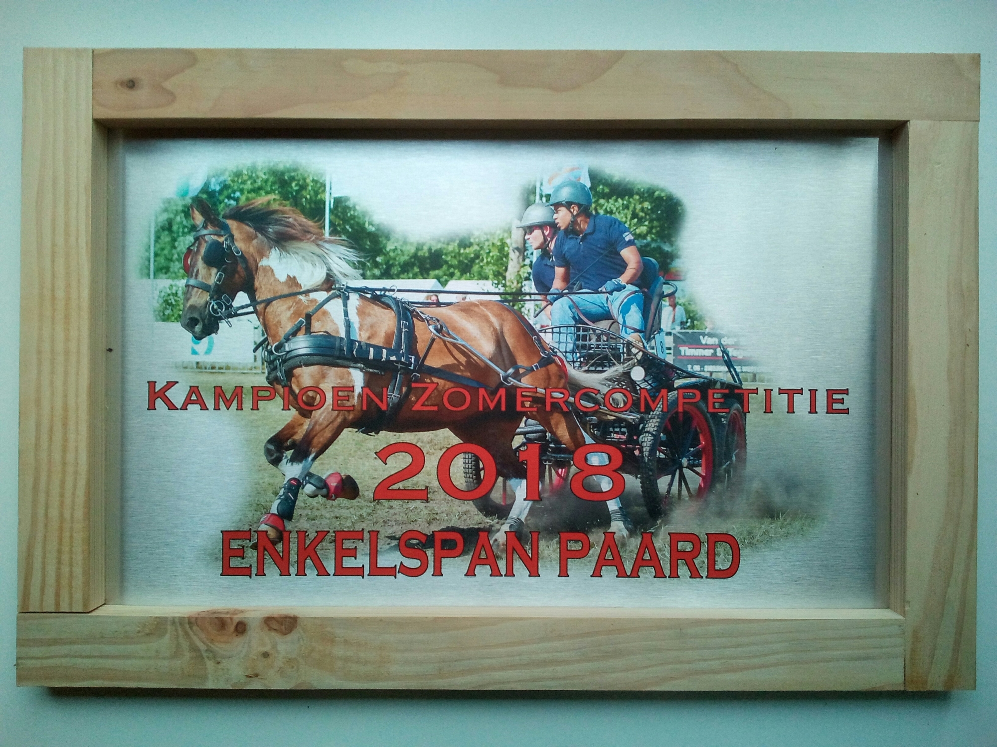 Sportprijs aluminium/hout