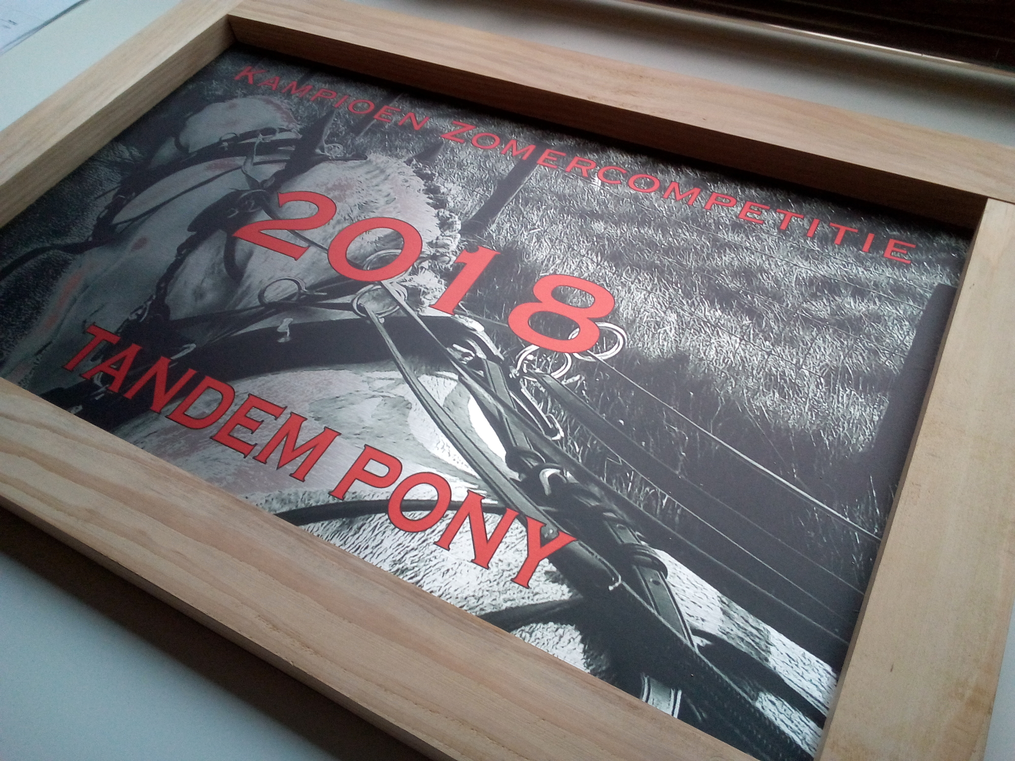 Sportprijs aluminium/hout