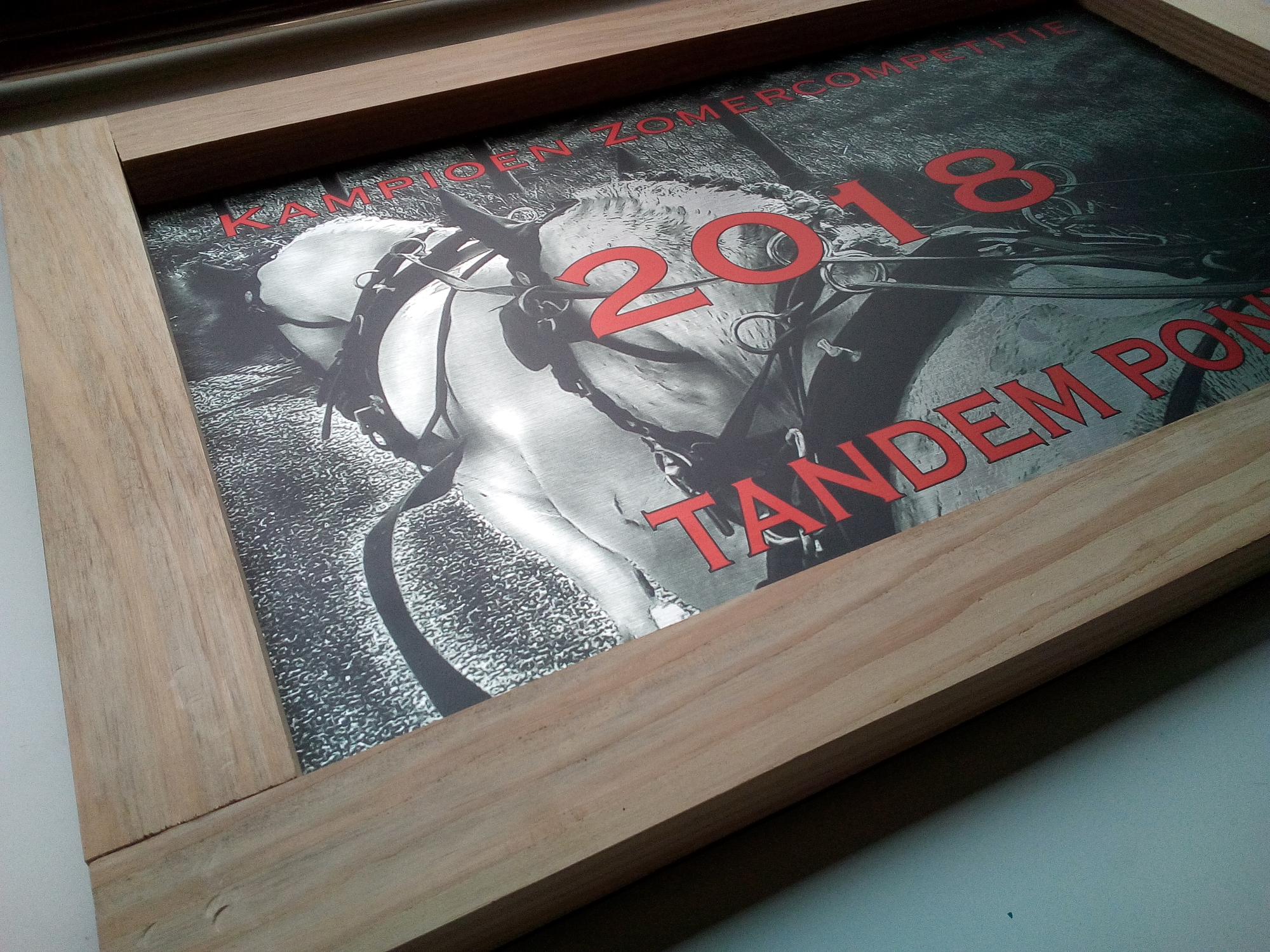 Sportprijs aluminium/hout