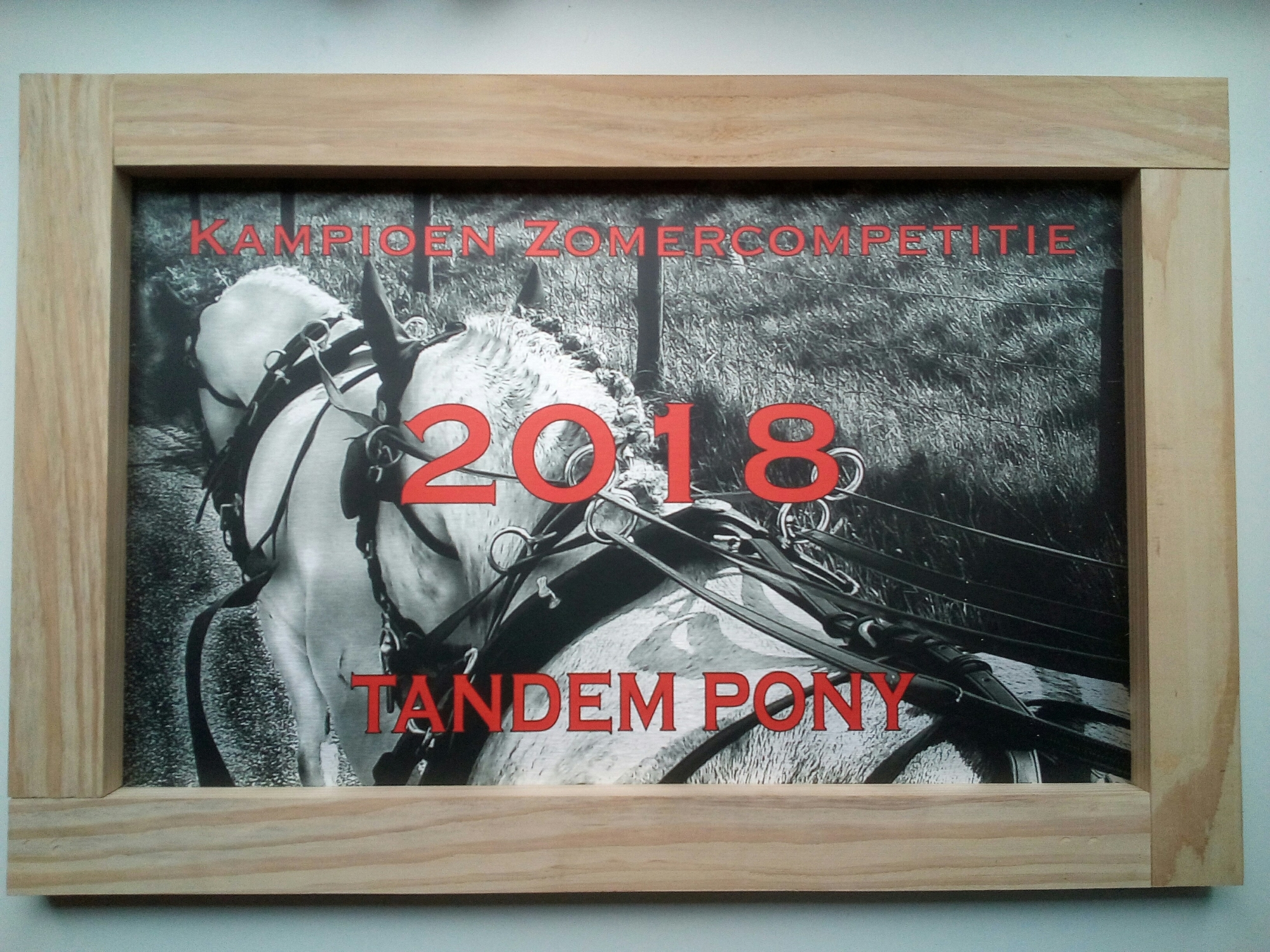 Sportprijs aluminium/hout