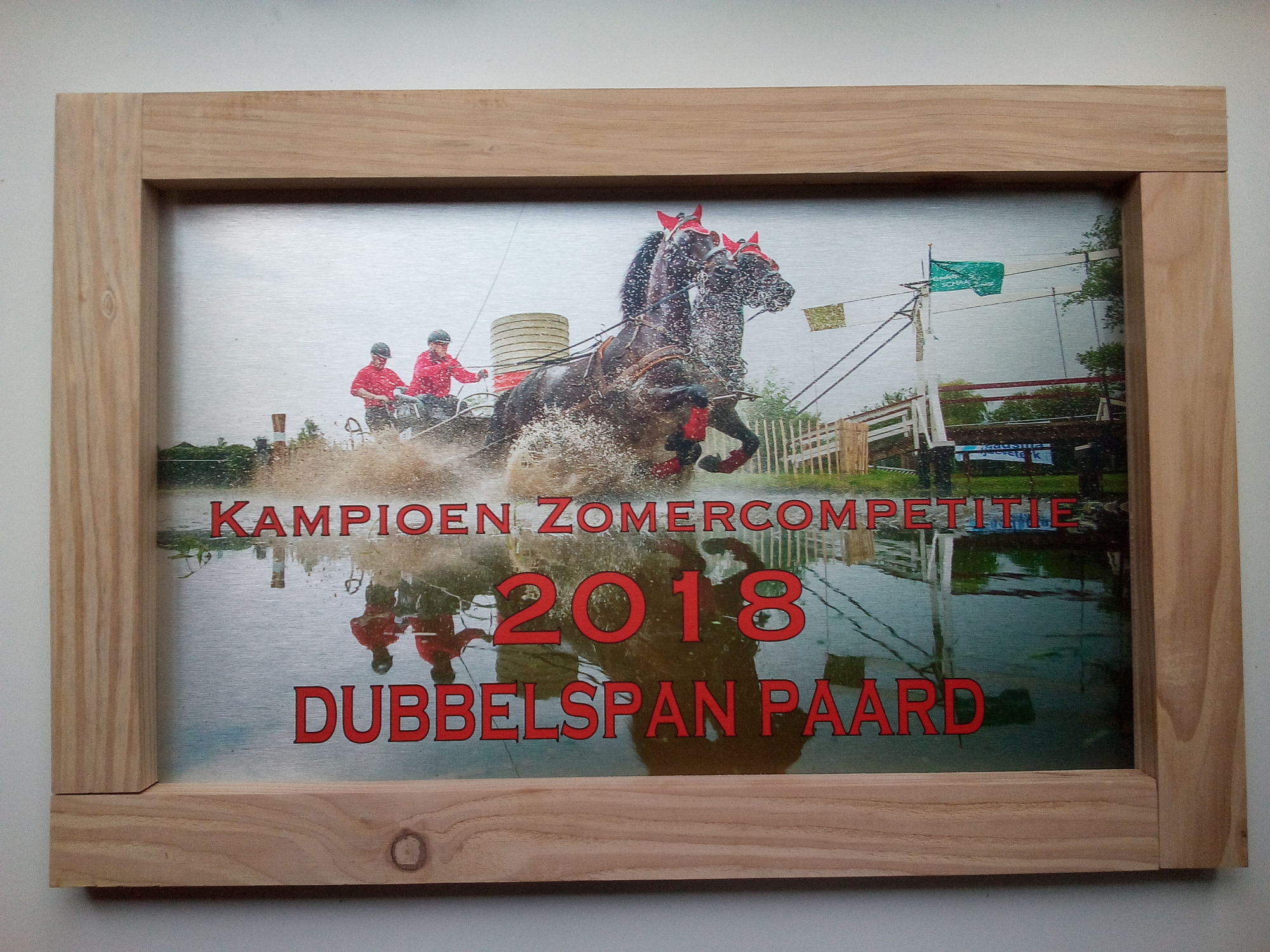 Sportprijs aluminium/hout