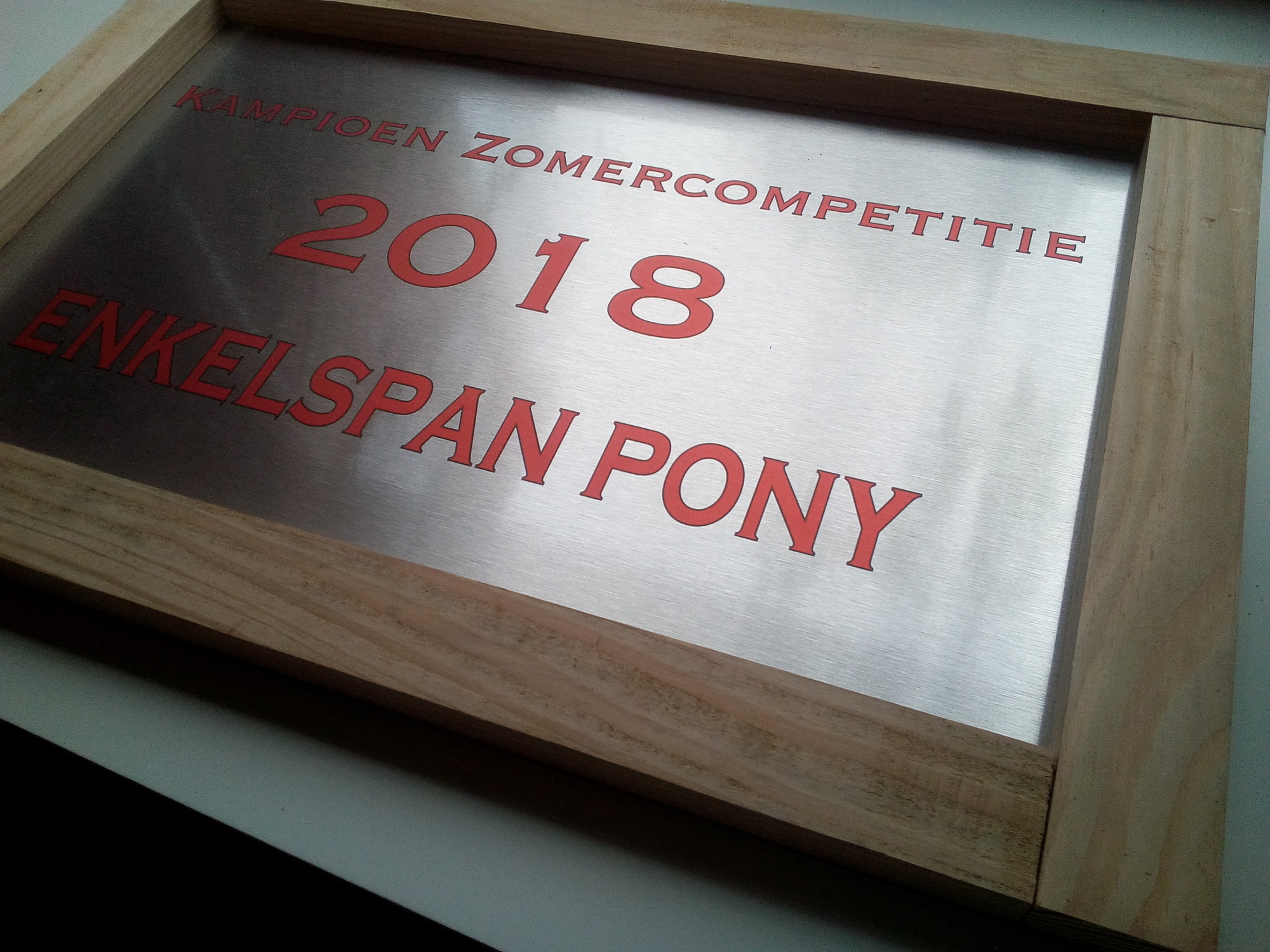 Sportprijs aluminium/hout