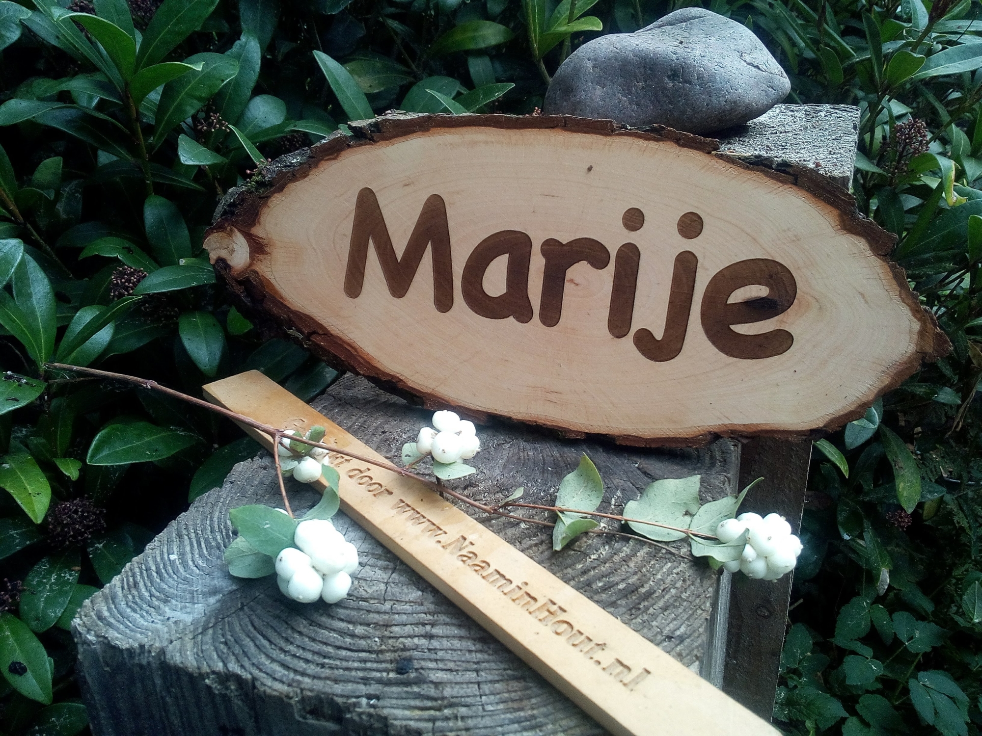 Naambord paard